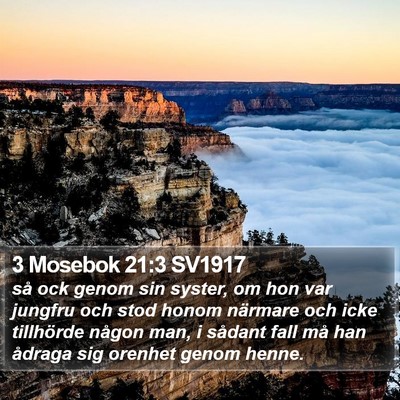 3 Mosebok 21:3 SV1917 Bible Verse Image