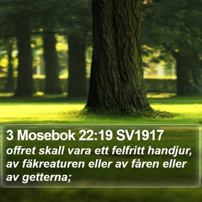 3 Mosebok 22:19 SV1917 Bible Verse Image