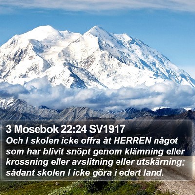 3 Mosebok 22:24 SV1917 Bible Verse Image