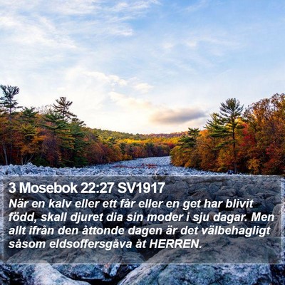 3 Mosebok 22:27 SV1917 Bible Verse Image