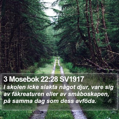3 Mosebok 22:28 SV1917 Bible Verse Image