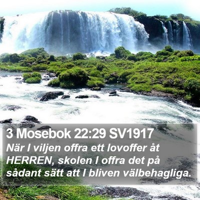 3 Mosebok 22:29 SV1917 Bible Verse Image