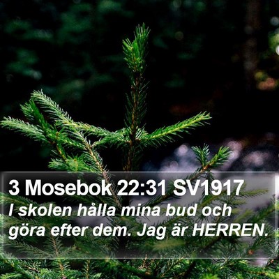 3 Mosebok 22:31 SV1917 Bible Verse Image