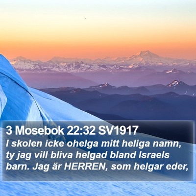 3 Mosebok 22:32 SV1917 Bible Verse Image