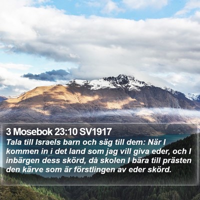 3 Mosebok 23:10 SV1917 Bible Verse Image