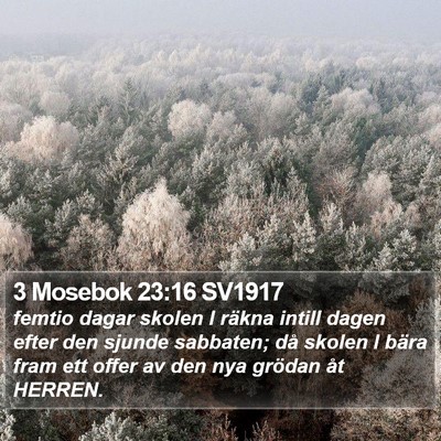3 Mosebok 23:16 SV1917 Bible Verse Image
