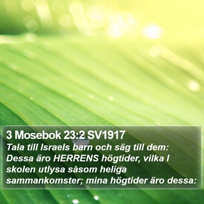 3 Mosebok 23:2 SV1917 Bible Verse Image