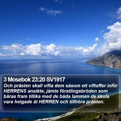 3 Mosebok 23:20 SV1917 Bible Verse Image