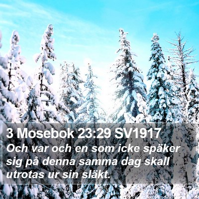 3 Mosebok 23:29 SV1917 Bible Verse Image