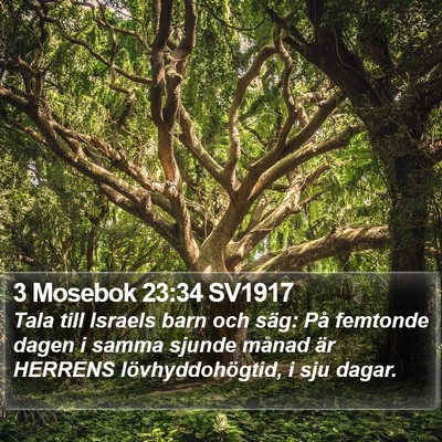 3 Mosebok 23:34 SV1917 Bible Verse Image