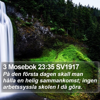 3 Mosebok 23:35 SV1917 Bible Verse Image