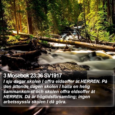 3 Mosebok 23:36 SV1917 Bible Verse Image