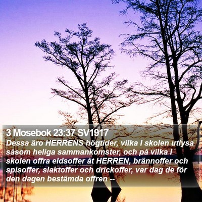 3 Mosebok 23:37 SV1917 Bible Verse Image