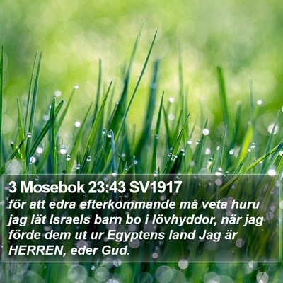 3 Mosebok 23:43 SV1917 Bible Verse Image