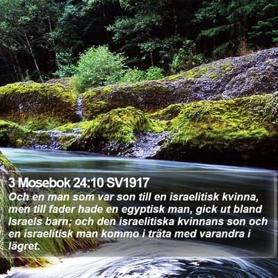 3 Mosebok 24:10 SV1917 Bible Verse Image