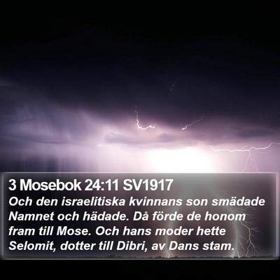 3 Mosebok 24:11 SV1917 Bible Verse Image