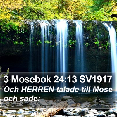 3 Mosebok 24:13 SV1917 Bible Verse Image