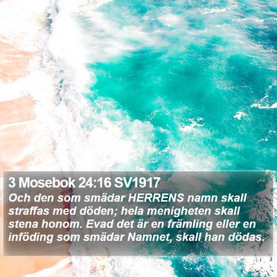 3 Mosebok 24:16 SV1917 Bible Verse Image