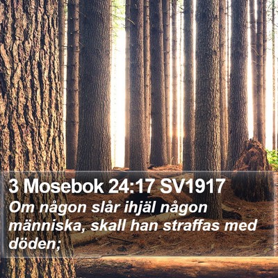 3 Mosebok 24:17 SV1917 Bible Verse Image