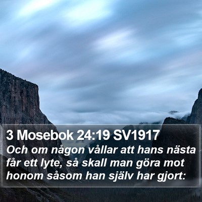 3 Mosebok 24:19 SV1917 Bible Verse Image