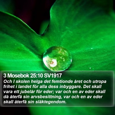 3 Mosebok 25:10 SV1917 Bible Verse Image