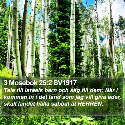 3 Mosebok 25:2 SV1917 Bible Verse Image