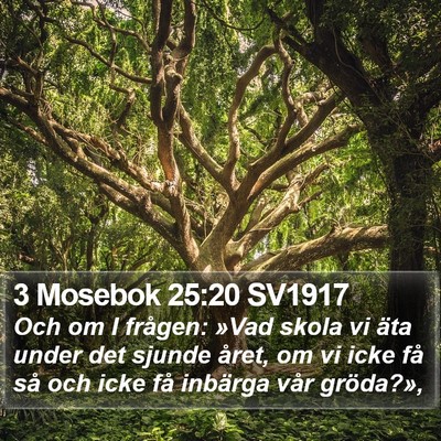 3 Mosebok 25:20 SV1917 Bible Verse Image