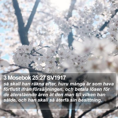 3 Mosebok 25:27 SV1917 Bible Verse Image