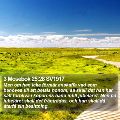 3 Mosebok 25:28 SV1917 Bible Verse Image