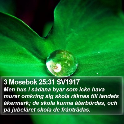 3 Mosebok 25:31 SV1917 Bible Verse Image