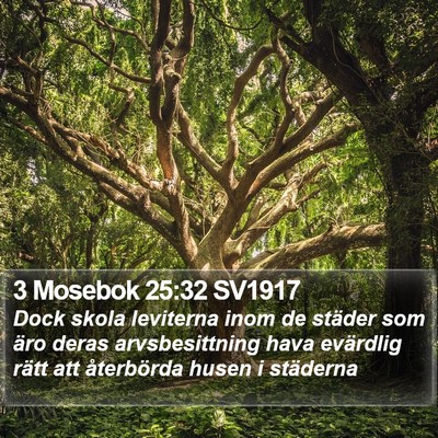 3 Mosebok 25:32 SV1917 Bible Verse Image