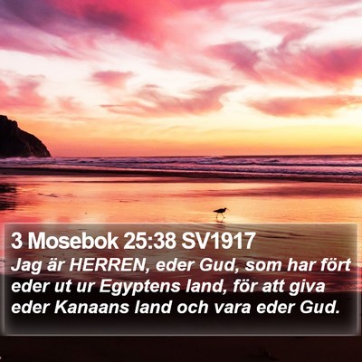 3 Mosebok 25:38 SV1917 Bible Verse Image