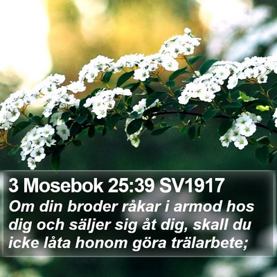 3 Mosebok 25:39 SV1917 Bible Verse Image