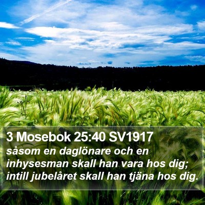 3 Mosebok 25:40 SV1917 Bible Verse Image