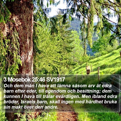 3 Mosebok 25:46 SV1917 Bible Verse Image
