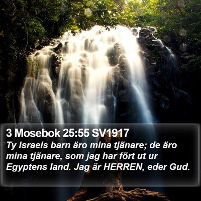3 Mosebok 25:55 SV1917 Bible Verse Image