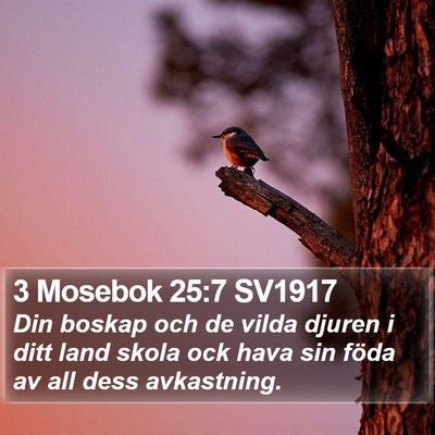 3 Mosebok 25:7 SV1917 Bible Verse Image