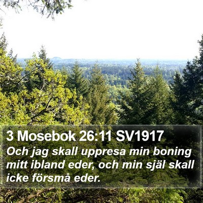 3 Mosebok 26:11 SV1917 Bible Verse Image