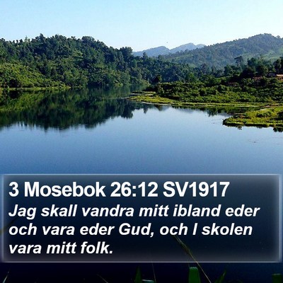 3 Mosebok 26:12 SV1917 Bible Verse Image