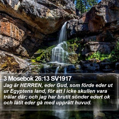 3 Mosebok 26:13 SV1917 Bible Verse Image