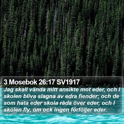 3 Mosebok 26:17 SV1917 Bible Verse Image