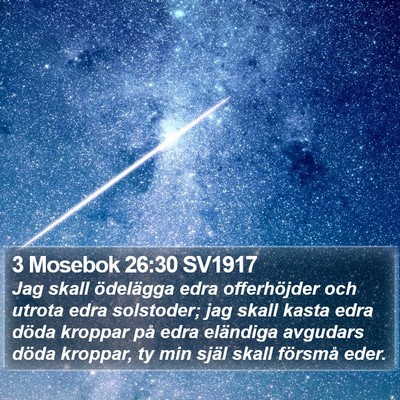3 Mosebok 26:30 SV1917 Bible Verse Image