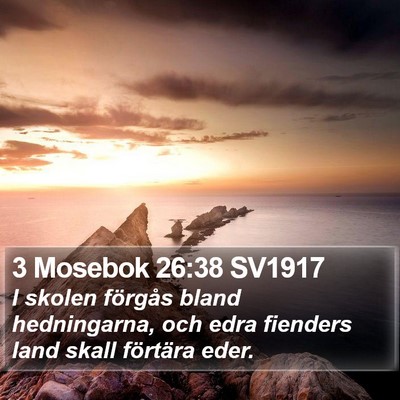3 Mosebok 26:38 SV1917 Bible Verse Image