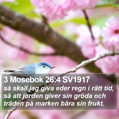 3 Mosebok 26:4 SV1917 Bible Verse Image