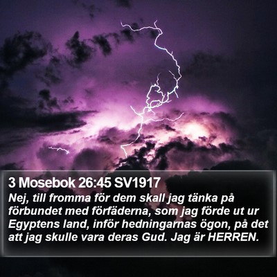 3 Mosebok 26:45 SV1917 Bible Verse Image