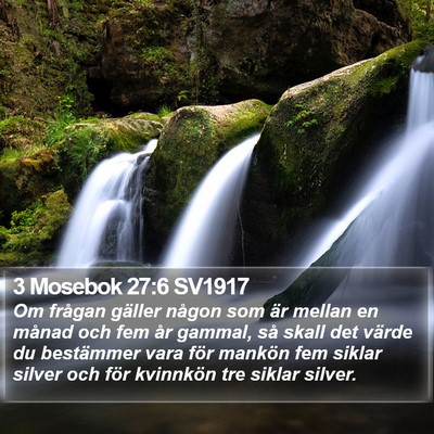 3 Mosebok 27:6 SV1917 Bible Verse Image