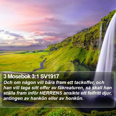 3 Mosebok 3:1 SV1917 Bible Verse Image