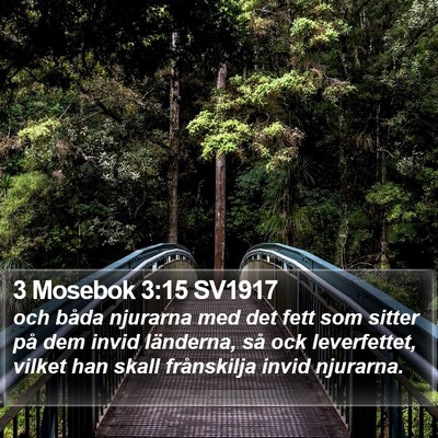 3 Mosebok 3:15 SV1917 Bible Verse Image