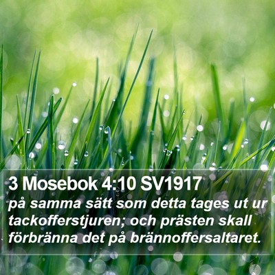 3 Mosebok 4:10 SV1917 Bible Verse Image
