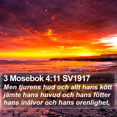 3 Mosebok 4:11 SV1917 Bible Verse Image